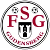 FSG Gudensberg II