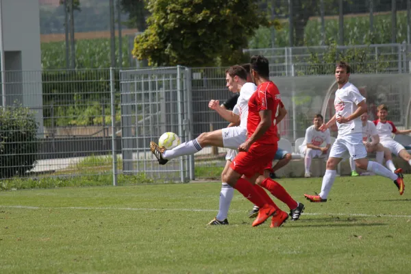 Testspiel TSV Hertingshausen : FC Overberge