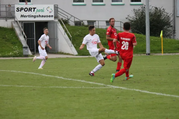 Testspiel TSV Hertingshausen : FC Overberge