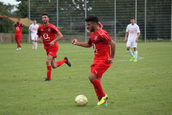 Testspiel TSV Hertingshausen : FC Overberge