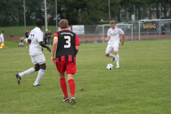 TSV Wolfsanger : TSV Hertingshausen