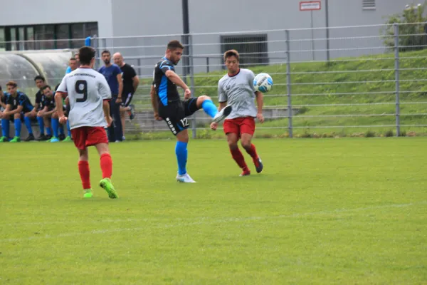 TSV Hertingshausen : BC Sport