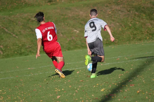 TSV Hertingshausen : CSC 03 Kassel II