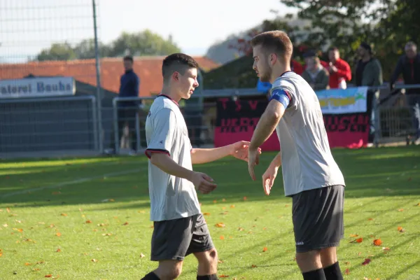 TSV Hertingshausen : CSC 03 Kassel II