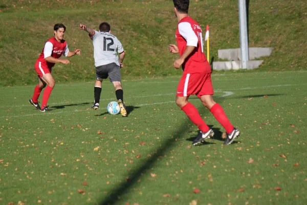 TSV Hertingshausen : CSC 03 Kassel II