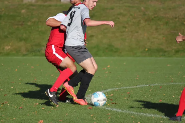 TSV Hertingshausen : CSC 03 Kassel II