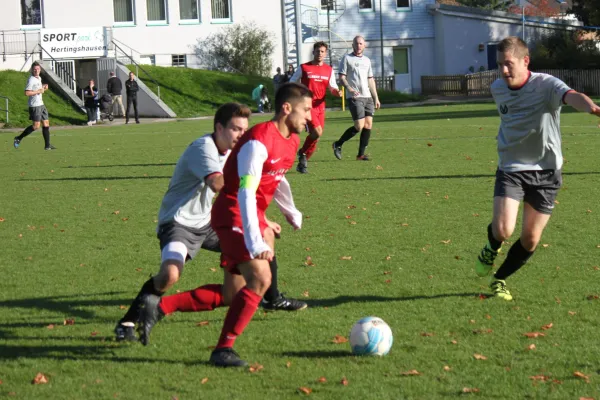 TSV Hertingshausen : CSC 03 Kassel II