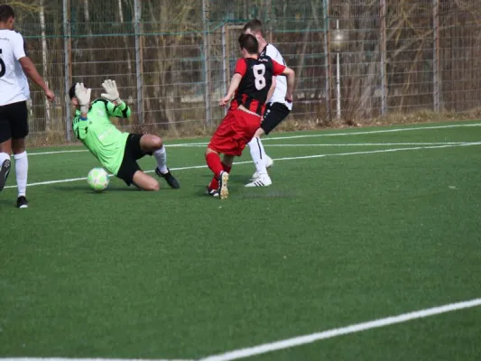 TSV Hertingshausen : TSG Wilhelmshöhe