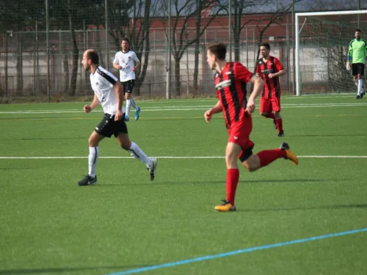 TSV Hertingshausen : TSG Wilhelmshöhe