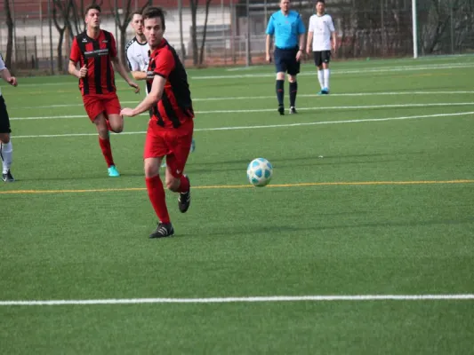 TSV Hertingshausen : TSG Wilhelmshöhe