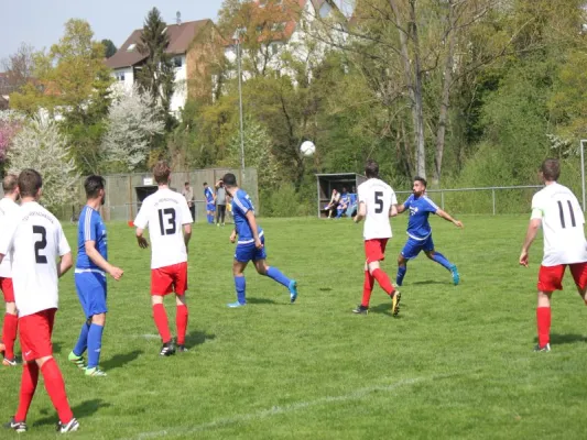 Anadolu Spor Baunatal II : TSV Hertingshausen II