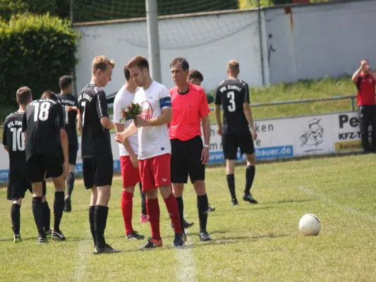 VFL Kassel : TSV Hertingshausen