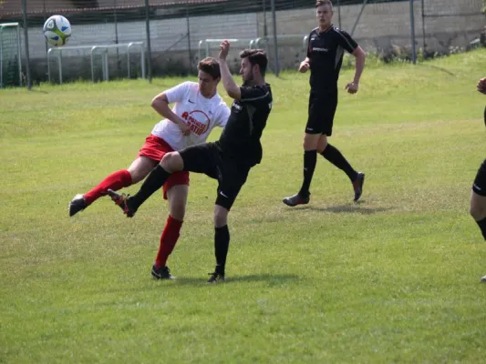 VFL Kassel : TSV Hertingshausen