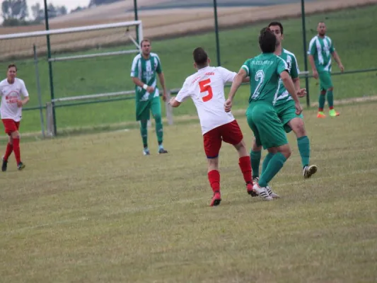 FSG Eder/Ems 07/ TSV Hertingshausen