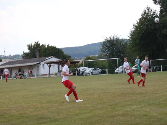 FSG Eder/Ems 07/ TSV Hertingshausen