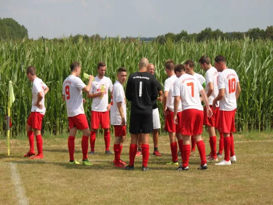 FSG Eder/Ems 07/ TSV Hertingshausen