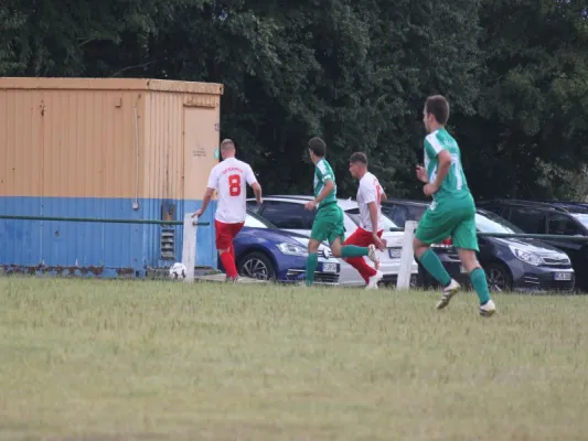 FSG Eder/Ems 07/ TSV Hertingshausen