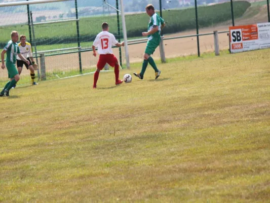 FSG Eder/Ems 07/ TSV Hertingshausen