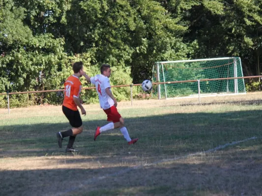 SVH Kassel  vs. TSV Hertingshausen