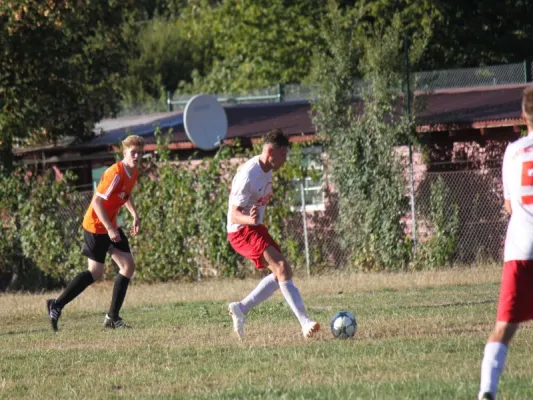 SVH Kassel  vs. TSV Hertingshausen