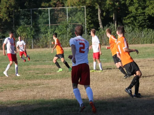 SVH Kassel  vs. TSV Hertingshausen