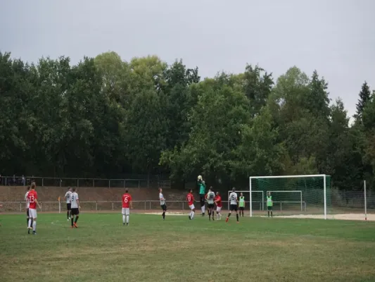 TSG Wilhelmshöhe vs. TSV Hertingshausen