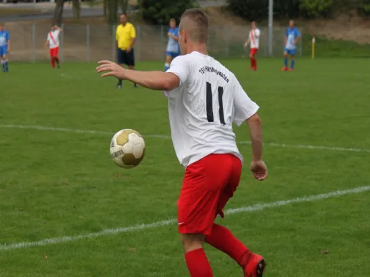 TSV Hertingshausen II vs. FSV Vollmarshausen II