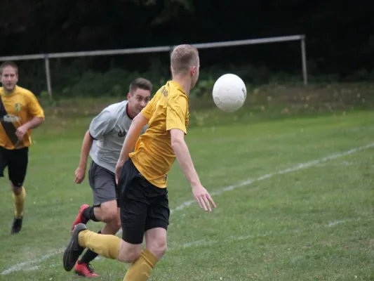 SG Söhrewald vs. TSV Hertingshausen