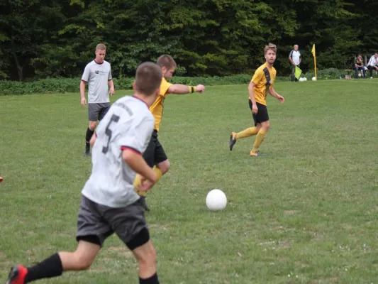 SG Söhrewald vs. TSV Hertingshausen