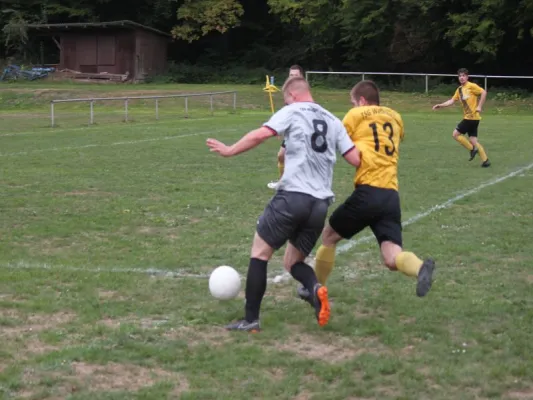 SG Söhrewald vs. TSV Hertingshausen