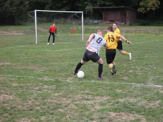 SG Söhrewald vs. TSV Hertingshausen