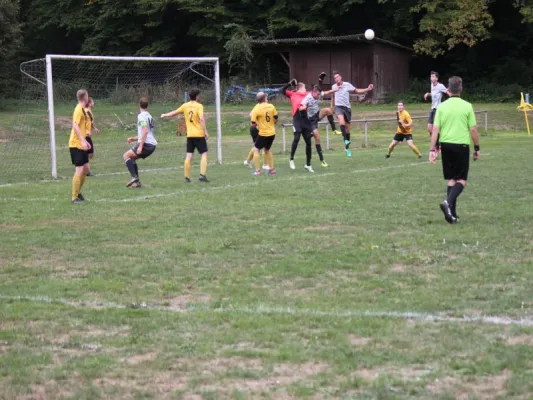 SG Söhrewald vs. TSV Hertingshausen