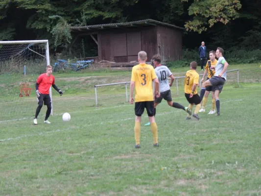 SG Söhrewald vs. TSV Hertingshausen