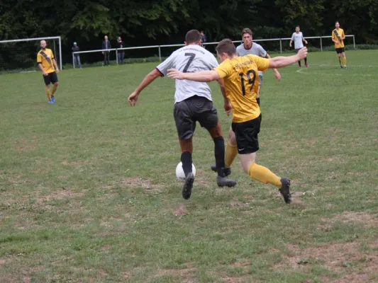 SG Söhrewald vs. TSV Hertingshausen