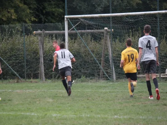 SG Söhrewald vs. TSV Hertingshausen