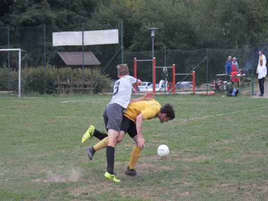 SG Söhrewald vs. TSV Hertingshausen