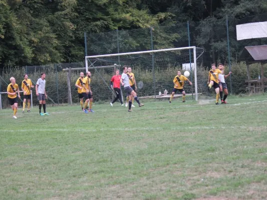 SG Söhrewald vs. TSV Hertingshausen