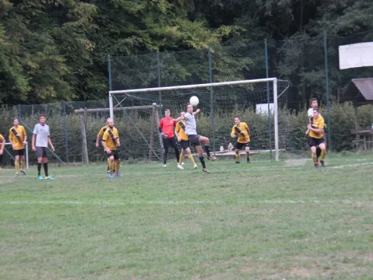 SG Söhrewald vs. TSV Hertingshausen