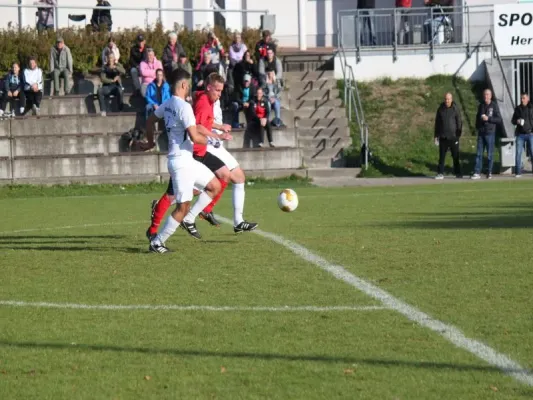 TSV Hertingshausen vs. AFC Kassel