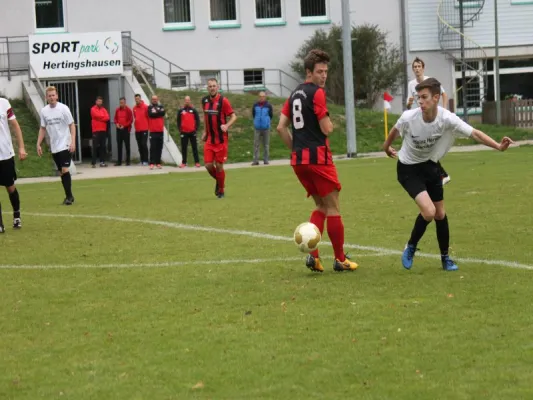 TSV Hertingshausen Res. vs. FSV Kassel