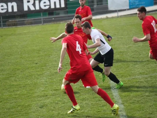 TSV Hertinghausen vs. SG Söhrewald