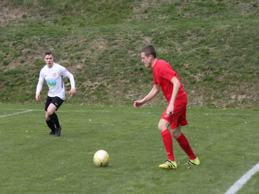 TSV Hertinghausen vs. SG Söhrewald