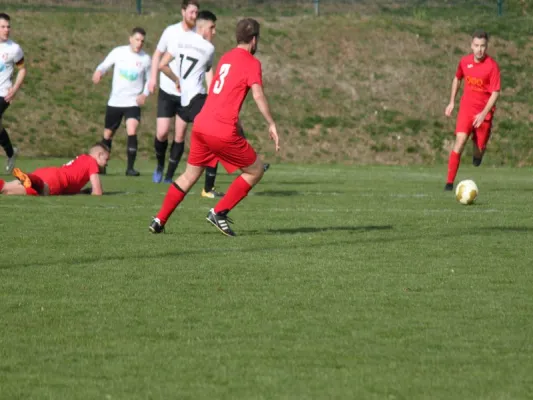 TSV Hertinghausen vs. SG Söhrewald