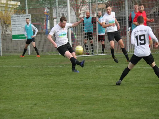 TSV Hertinghausen vs. SG Söhrewald