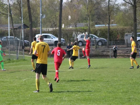 Fortuna Kassel vs. TSV Hertingshausen