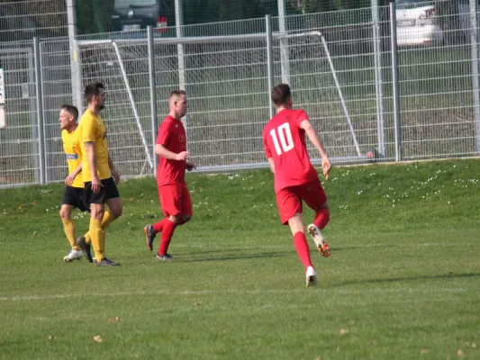 Fortuna Kassel vs. TSV Hertingshausen