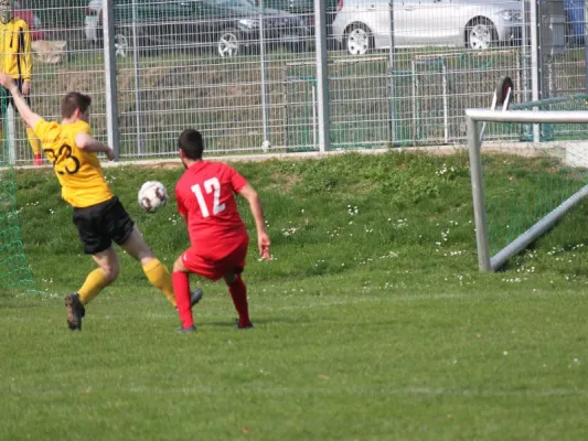 Fortuna Kassel vs. TSV Hertingshausen