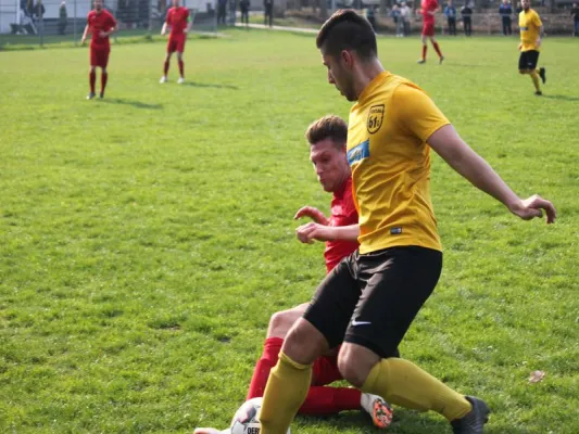 Fortuna Kassel vs. TSV Hertingshausen