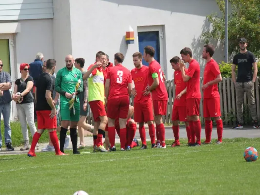 TSV Hertingshausen vs. BC Sport Kassel