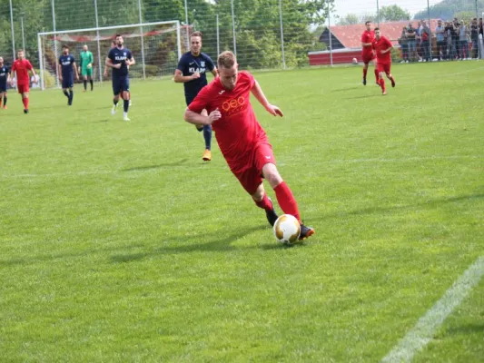 TSV Hertingshausen vs. BC Sport Kassel